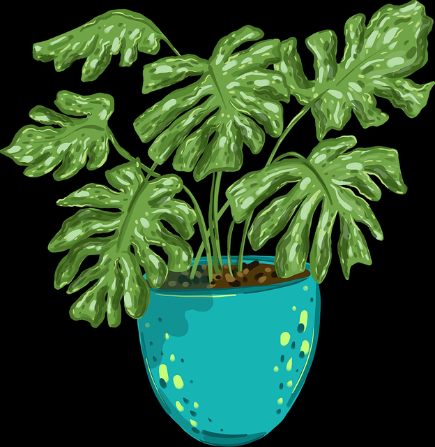 101个理由告诉你每日大赛51 进阶必读