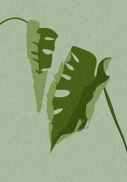 麻豆高转化技巧全解析——124步搞定(深度)