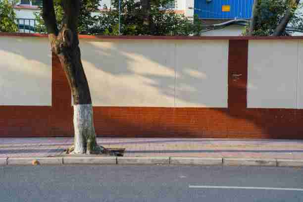 每日大赛在线观看:背后有哪些门道? 第2张 每日大赛在线观看:背后有哪些门道? 第2张