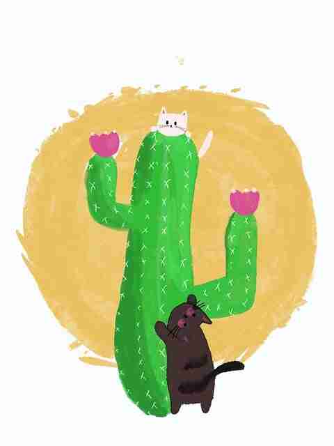 51网在线观看价值拼图全解析——81步搞定