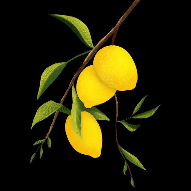 一文读懂P站官方官网粉丝经济:重塑指南(新手福音)