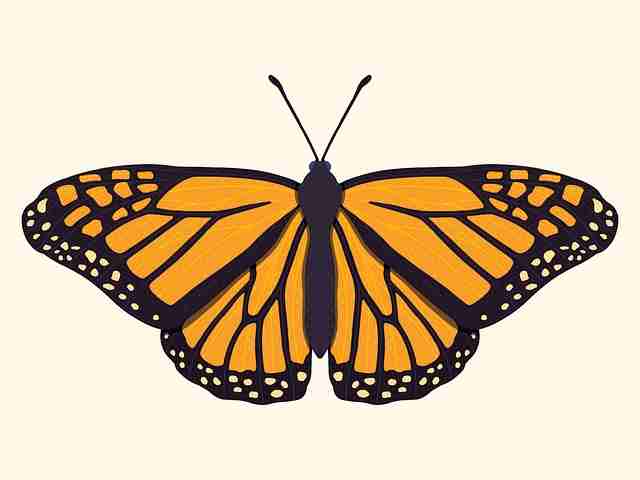 多元蘑菇影视官网玩法：兼容性实测